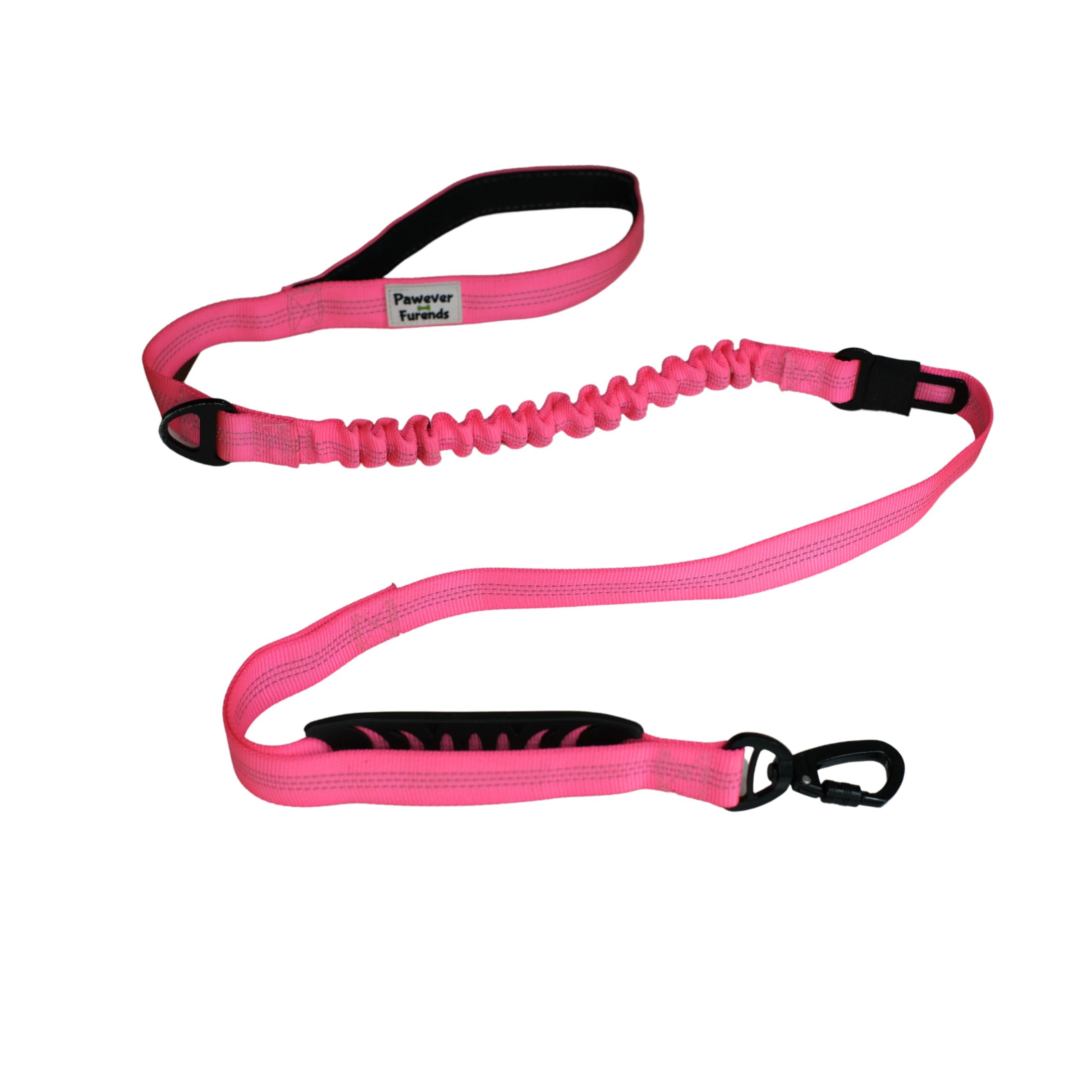 Bungee Shock Absorbing Leash