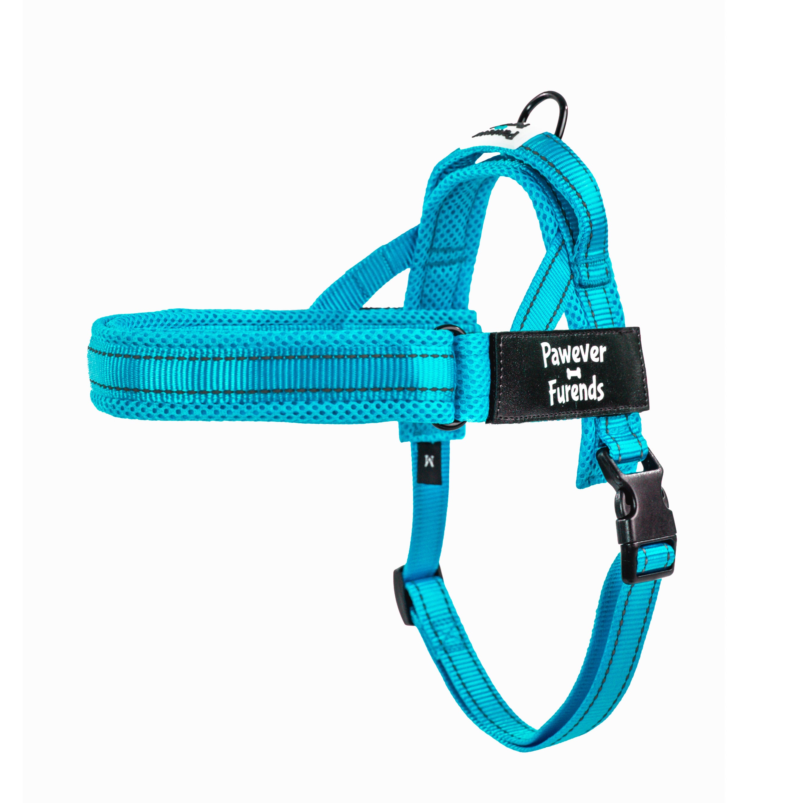 Harness