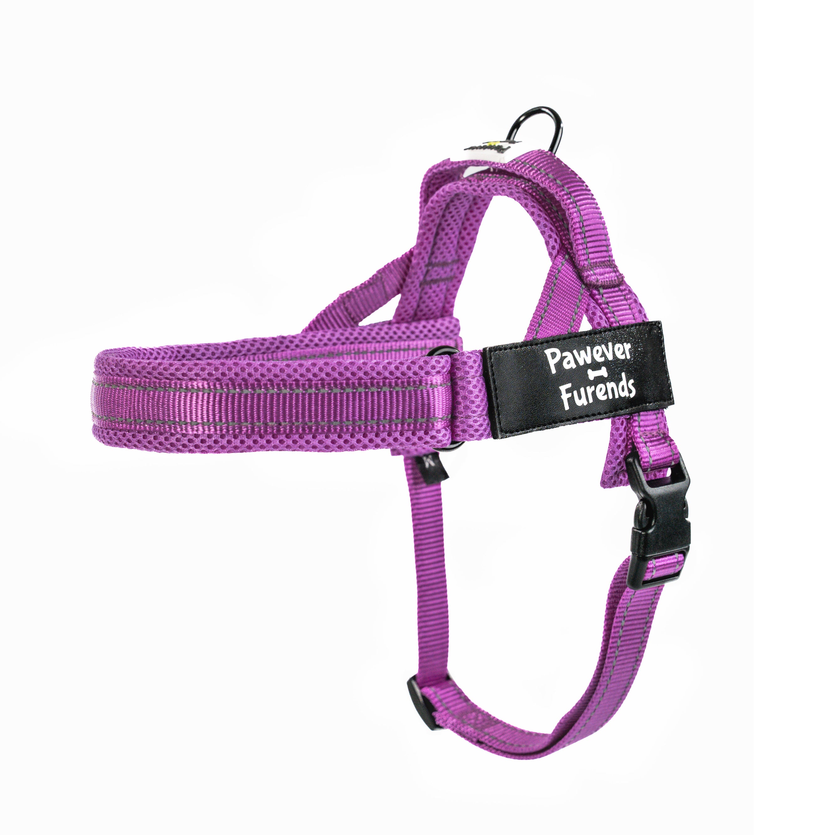 Harness