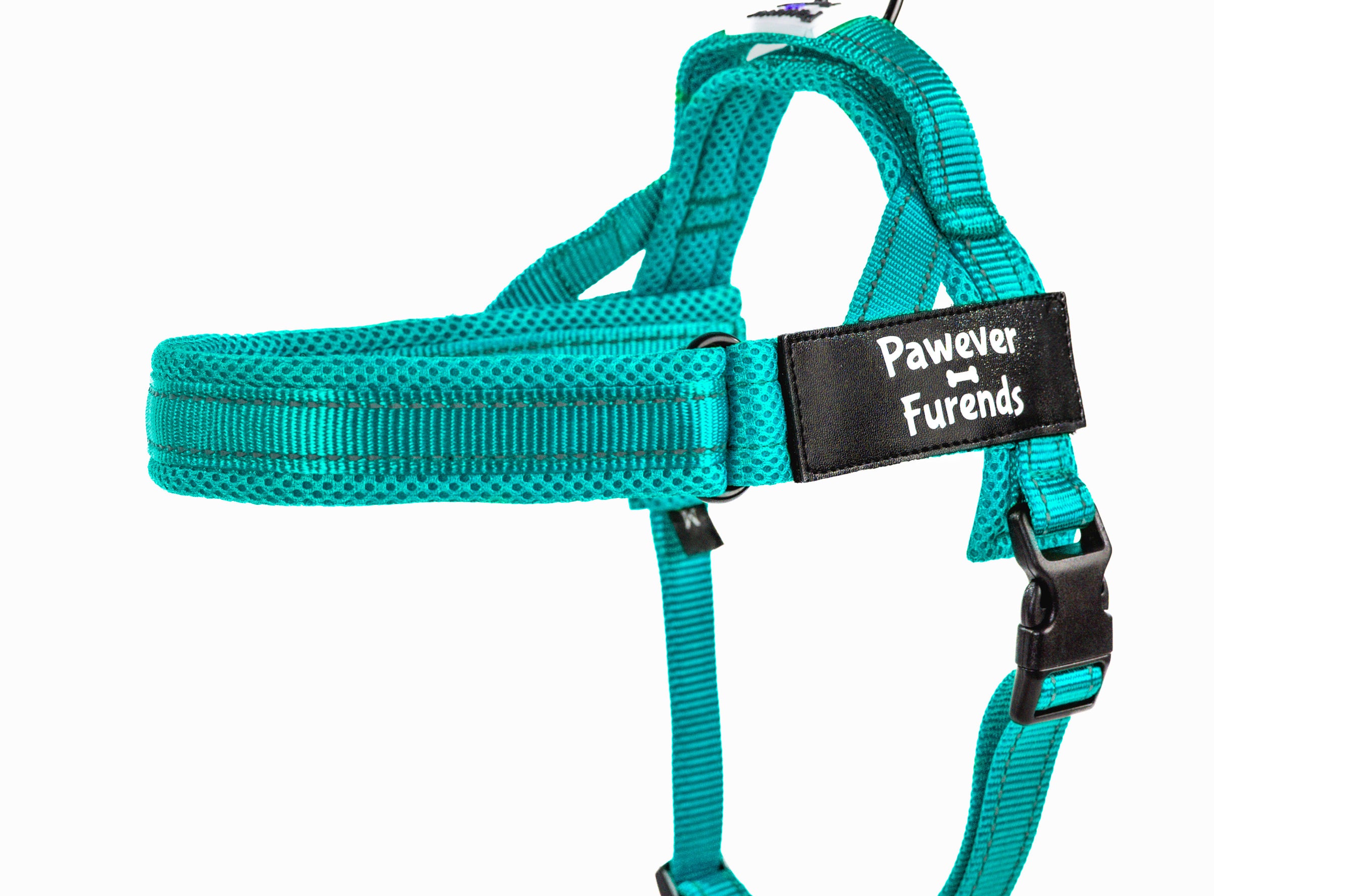 Dog Seat Belt – Friends Pawever