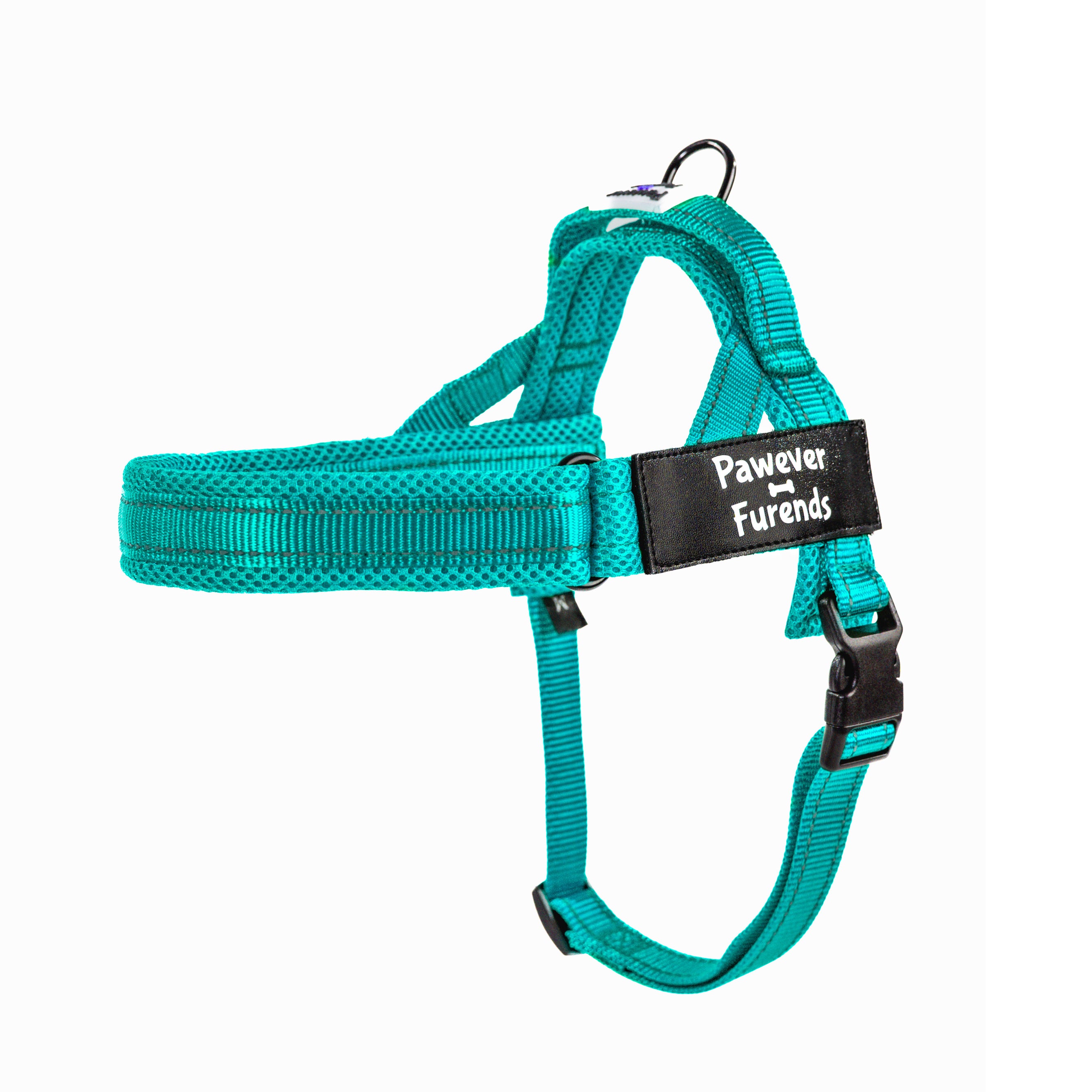 Harness
