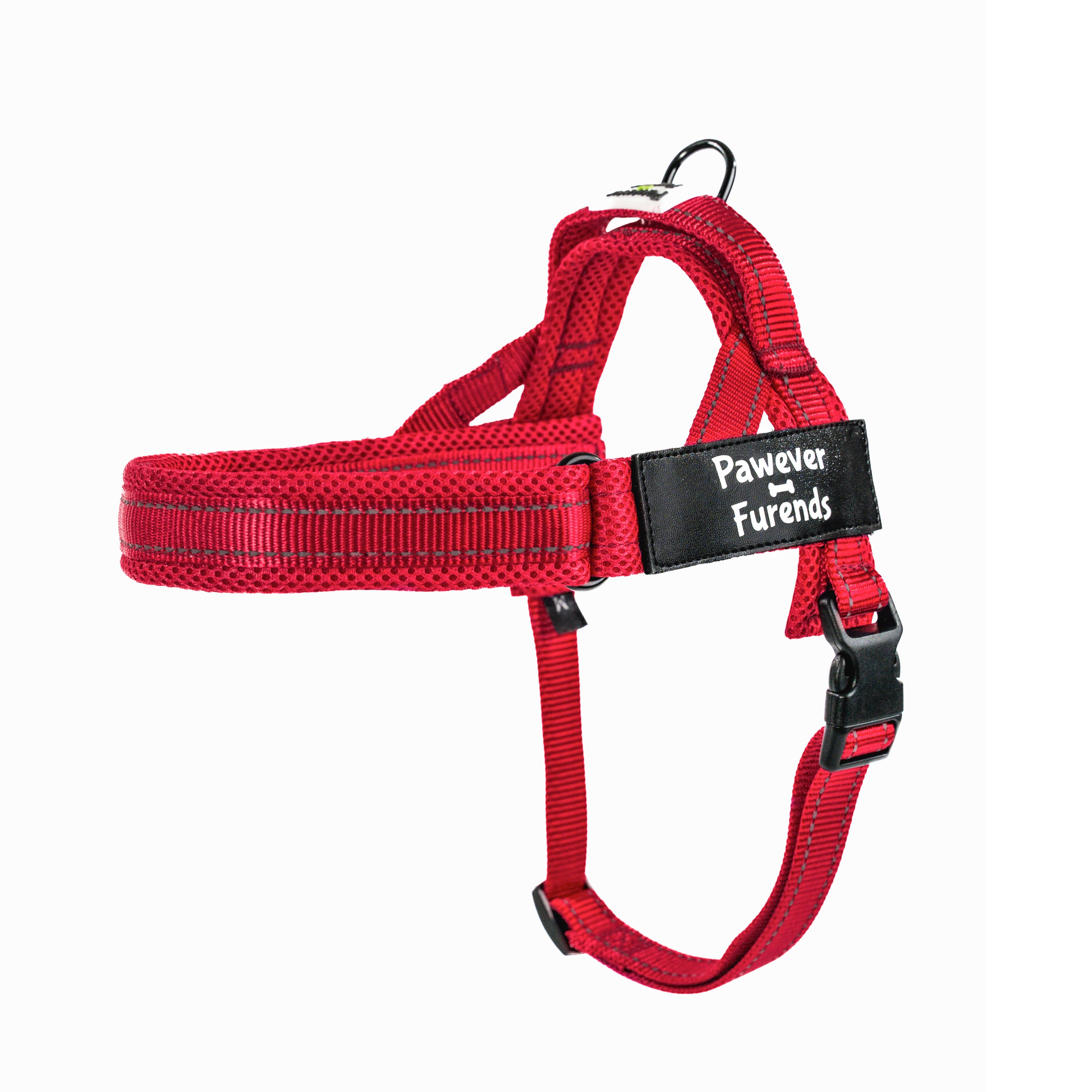 Harness