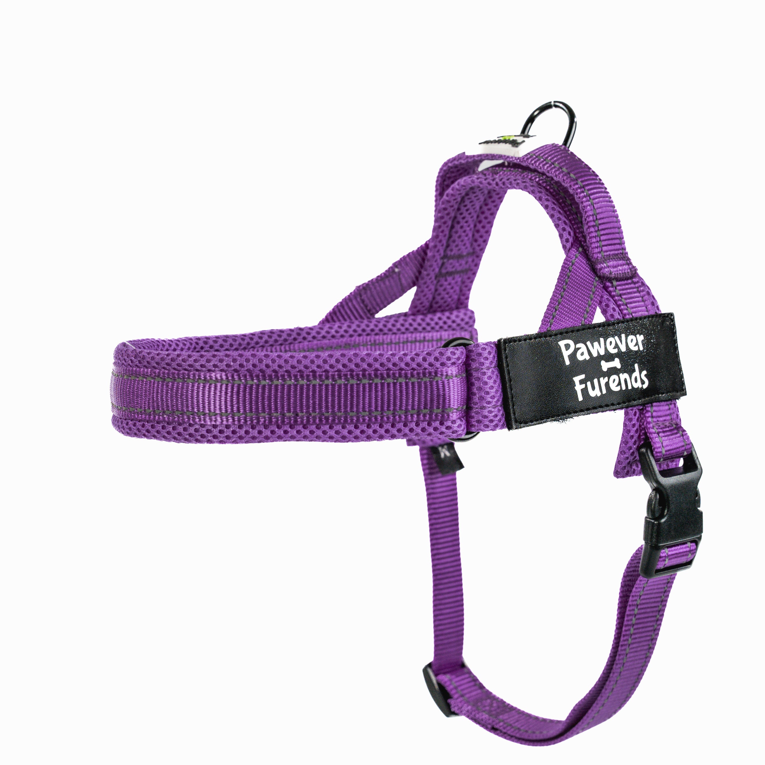 Harness